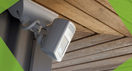 Motion Detector Light