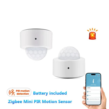 Remote Control Alarm Work with Alexa